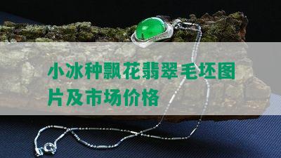 小冰种飘花翡翠毛坯图片及市场价格