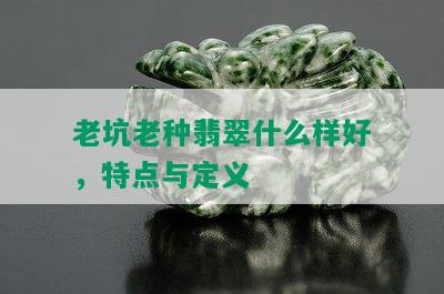 老坑老种翡翠什么样好，特点与定义