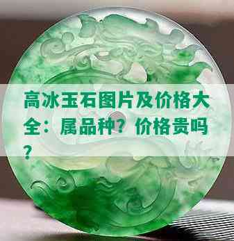 高冰玉石图片及价格大全：属品种？价格贵吗？