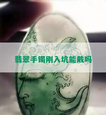 翡翠手镯刚入坑能戴吗