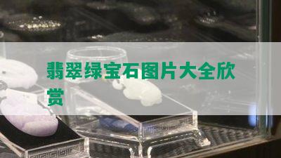 翡翠绿宝石图片大全欣赏