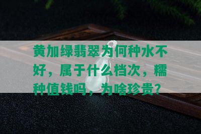 黄加绿翡翠为何种水不好，属于什么档次，糯种值钱吗，为啥珍贵？