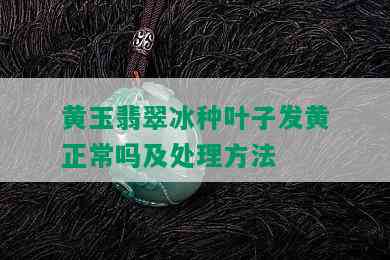 黄玉翡翠冰种叶子发黄正常吗及处理方法