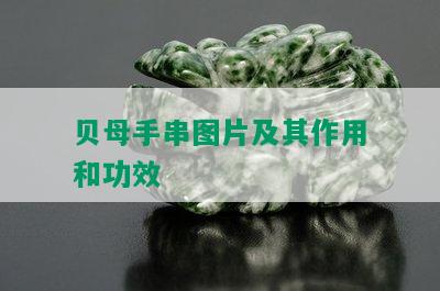 贝母手串图片及其作用和功效