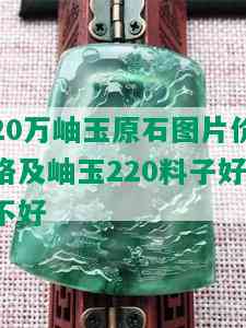 20万岫玉原石图片价格及岫玉220料子好不好