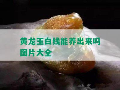 黄龙玉白线能养出来吗图片大全