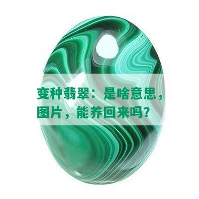 变种翡翠：是啥意思，图片，能养回来吗？