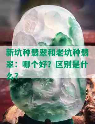 新坑种翡翠和老坑种翡翠：哪个好？区别是什么？