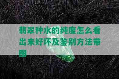 翡翠种水的纯度怎么看出来好坏及鉴别方法带图