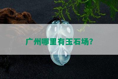 广州哪里有玉石场？