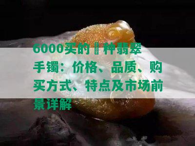 6000买的檽种翡翠手镯：价格、品质、购买方式、特点及市场前景详解