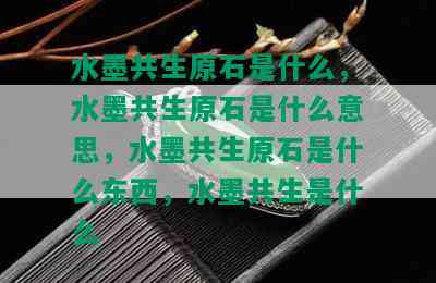 水墨共生原石是什么，水墨共生原石是什么意思，水墨共生原石是什么东西，水墨共生是什么