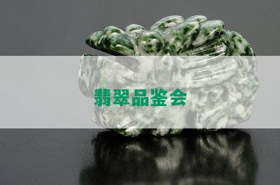 翡翠品鉴会