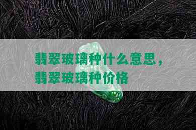 翡翠玻璃种什么意思，翡翠玻璃种价格