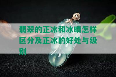 翡翠的正冰和冰晴怎样区分及正冰的好处与级别