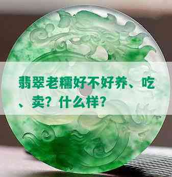 翡翠老糯好不好养、吃、卖？什么样？