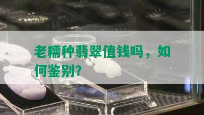 老糯种翡翠值钱吗，如何鉴别？