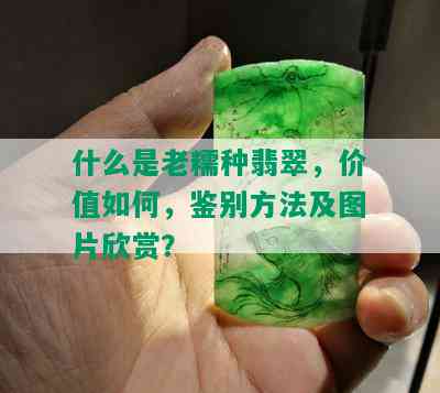 什么是老糯种翡翠，价值如何，鉴别方法及图片欣赏？