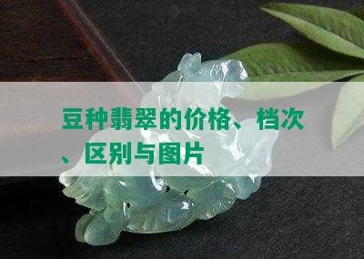 豆种翡翠的价格、档次、区别与图片