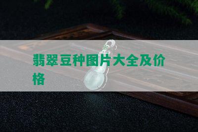 翡翠豆种图片大全及价格