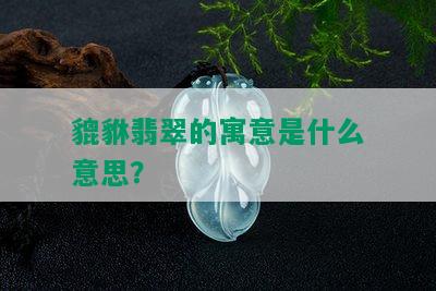 貔貅翡翠的寓意是什么意思？