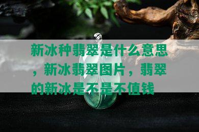 新冰种翡翠是什么意思，新冰翡翠图片，翡翠的新冰是不是不值钱