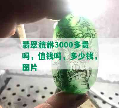 翡翠貔貅3000多贵吗，值钱吗，多少钱，图片