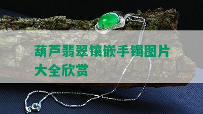 葫芦翡翠镶嵌手镯图片大全欣赏