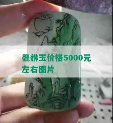 貔貅玉价格5000元左右图片