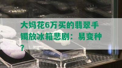 大妈花6万买的翡翠手镯放冰箱悲剧：易变种？