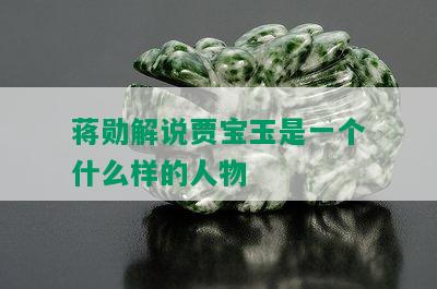 蒋勋解说贾宝玉是一个什么样的人物