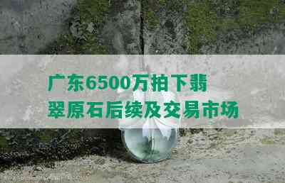 广东6500万拍下翡翠原石后续及交易市场