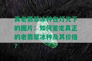 真老翡翠冰种在灯光下的图片：如何鉴定真正的老翡翠冰种及其价格？