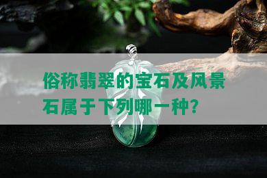 俗称翡翠的宝石及风景石属于下列哪一种？