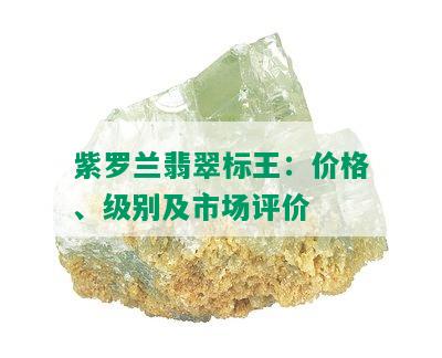 紫罗兰翡翠标王：价格、级别及市场评价