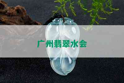 广州翡翠水会