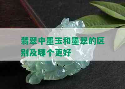 翡翠中墨玉和墨翠的区别及哪个更好