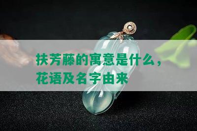 扶芳藤的寓意是什么，花语及名字由来