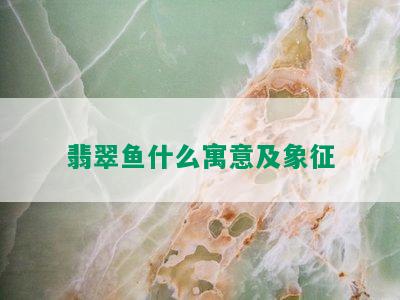 翡翠鱼什么寓意及象征