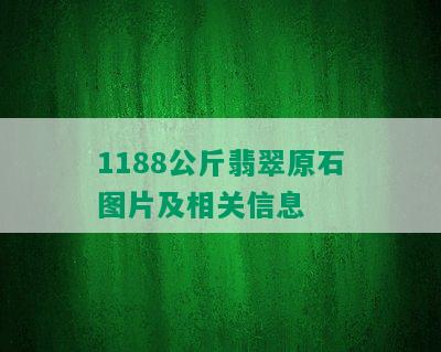 1188公斤翡翠原石图片及相关信息