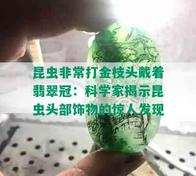 昆虫非常打金枝头戴着翡翠冠：科学家揭示昆虫头部饰物的惊人发现