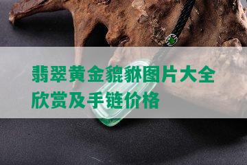 翡翠黄金貔貅图片大全欣赏及手链价格