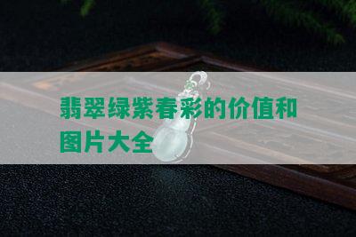 翡翠绿紫春彩的价值和图片大全