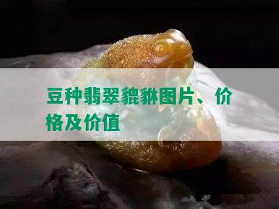 豆种翡翠貔貅图片、价格及价值