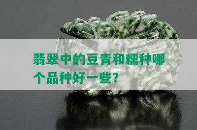 翡翠中的豆青和糯种哪个品种好一些？