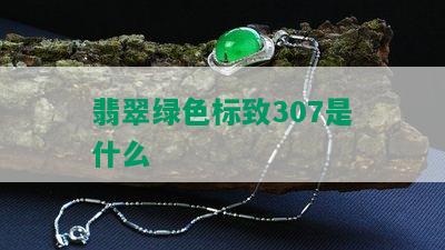 翡翠绿色标致307是什么