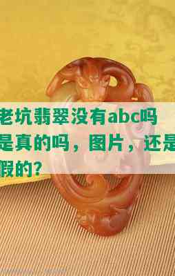 老坑翡翠没有abc吗是真的吗，图片，还是假的？