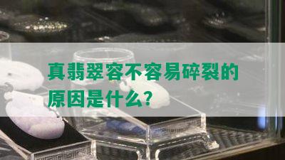 真翡翠容不容易碎裂的原因是什么？