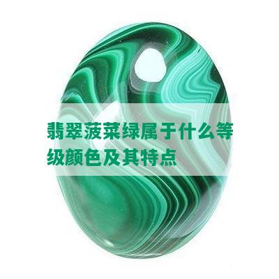 翡翠菠菜绿属于什么等级颜色及其特点