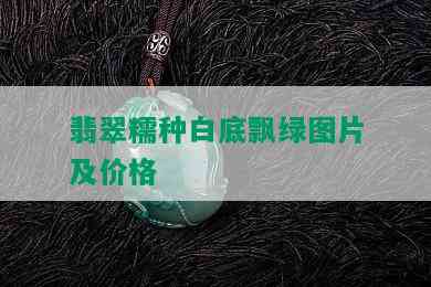 翡翠糯种白底飘绿图片及价格